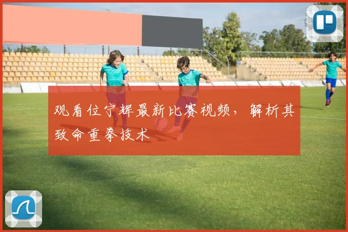 观看位宁辉最新比赛视频，解析其致命重拳技术